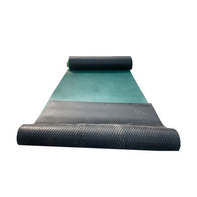 الحامل المطاطي الماسية البولية المتخلفة